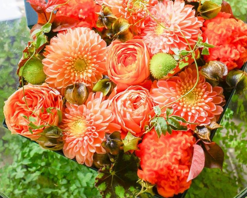 教室スクール 教室スクール