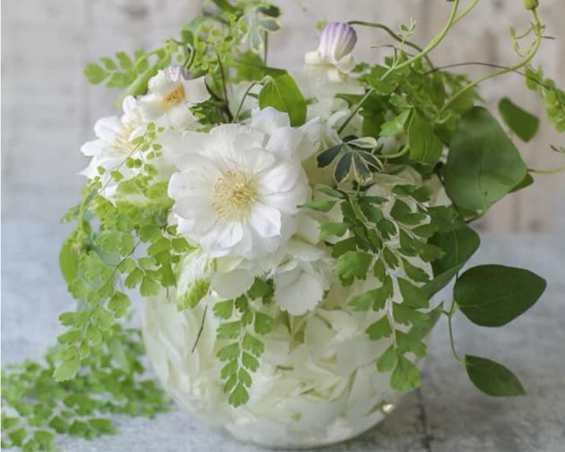 教室スクール 教室スクール